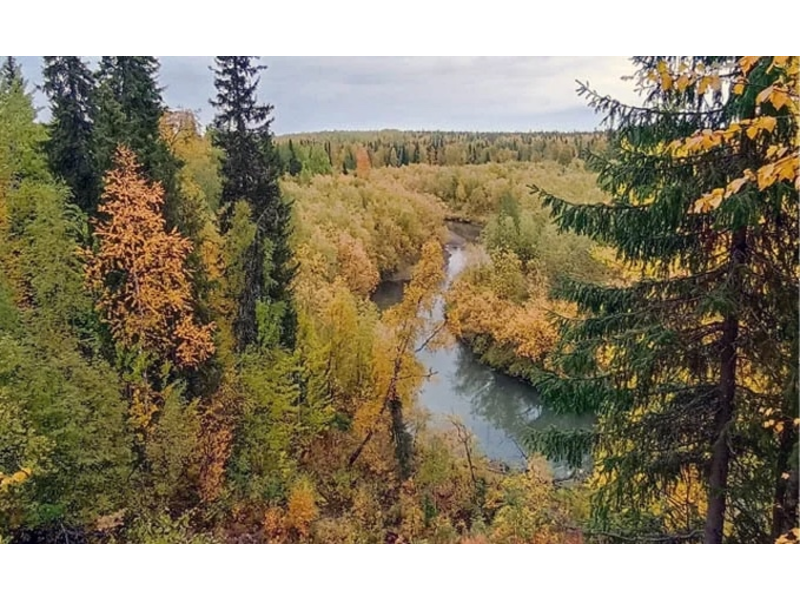 Усинск в золотом наряде ждет вас! Усинск в золотом наряде ждет вас!.
