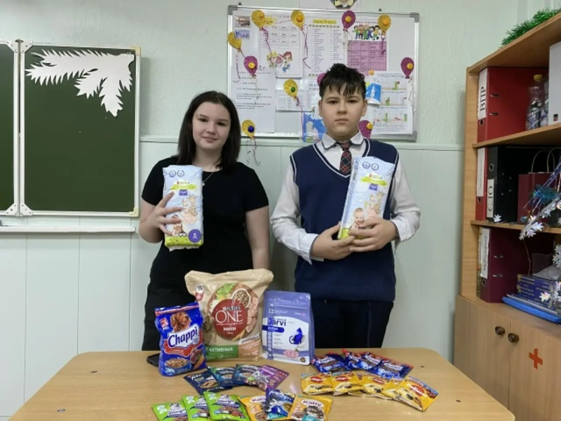 Семиклассники помогают бездомным животным!.