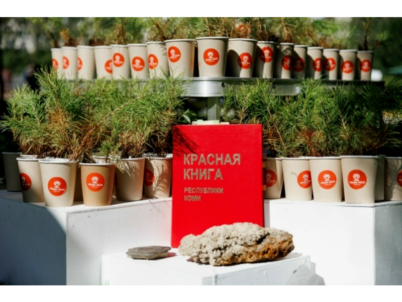 Жителей Коми приглашают к участию в международном конкурсе «Красная книга глазами детей» Жителей Коми приглашают к участию в международном конкурсе «Красная книга глазами детей».