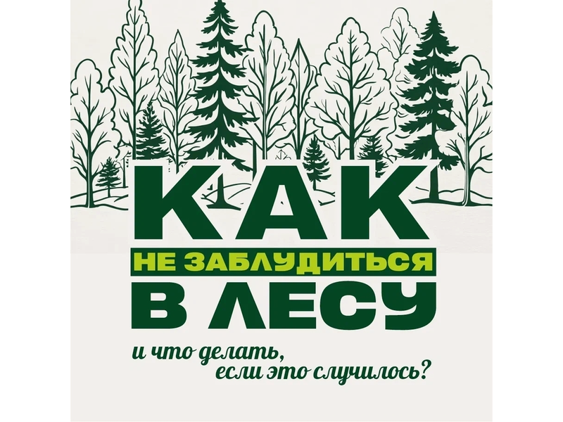 Тёплые выходные — повод сходить в лес за грибами, но перед этим важно вспомнить простые правила безопасности Тёплые выходные — повод сходить в лес за грибами, но перед этим важно вспомнить простые правила безопасности.