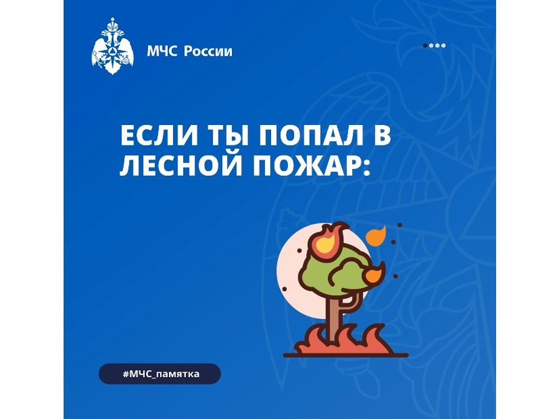 Лесной пожар – это экстремальная ситуация, где счет идет на секунды..