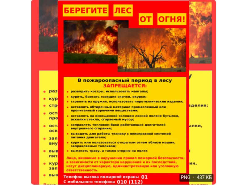 Государственное учреждение Республики Коми &amp;quot;Усинское лесничество&amp;quot; напоминает о необходимости соблюдения правил пожарной безопасности в лесах..